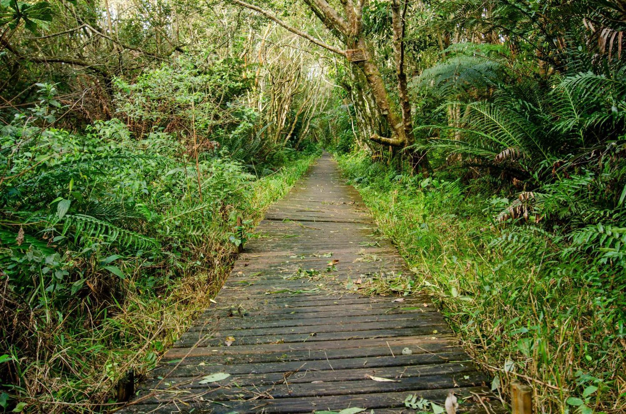 Pousada Do Moca Florianópolis 外观 照片